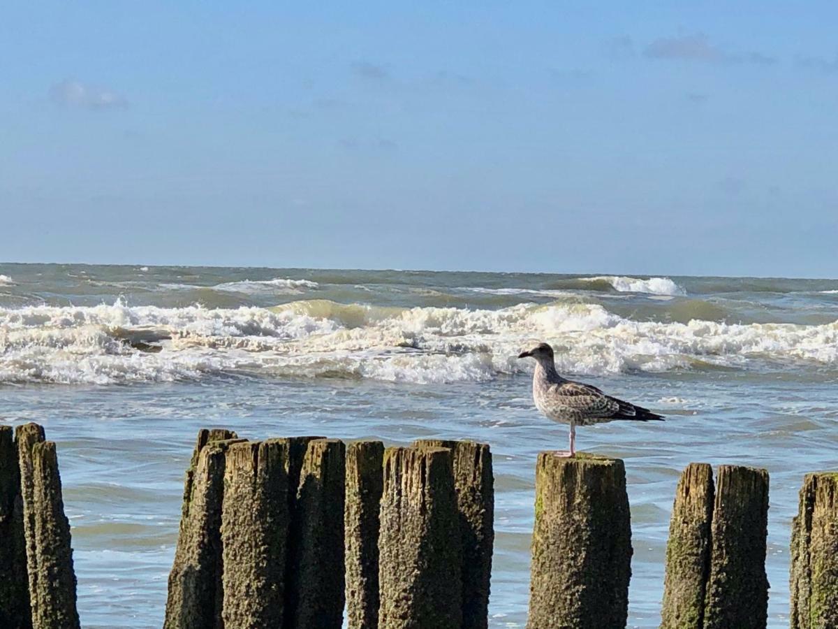 Appartementen De Strandloper Bergen aan Zee Exteriör bild