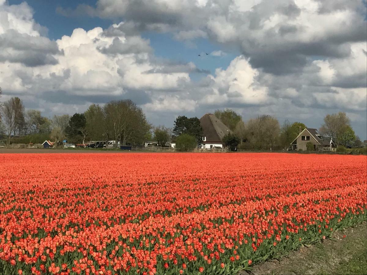 Appartementen De Strandloper Bergen aan Zee Exteriör bild